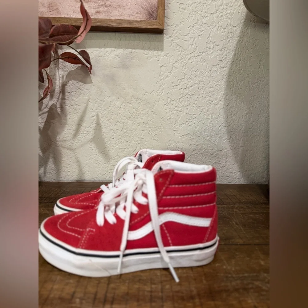 Sk8-Hi Shoe Lifestyle, Original Icon, Suede, Canvas size 1